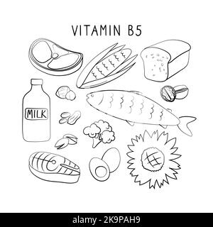 Vitamine B5 acide pantothénique. Groupes de produits sains contenant des vitamines. Ensemble de fruits, légumes, viandes, poissons et produits laitiers Illustration de Vecteur