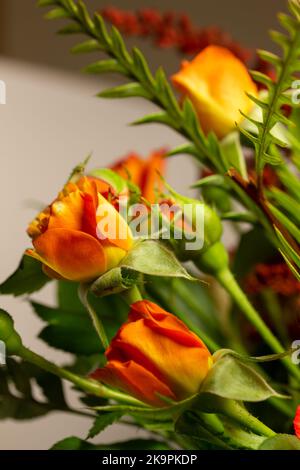 Résumé macro texture vue de petites roses roses roses et jaunes dans un arrangement intérieur de fleuriste Banque D'Images