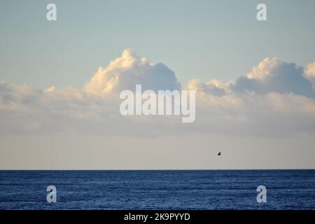 Cumulus blancs sur la surface bleue de la mer le jour ensoleillé. Magnifique arrière-plan naturel. Mouvement des nuages dans le ciel. Paysage de ciel. Paysage marin. Couleurs blanc bleu. Délai écoulé. Banque D'Images