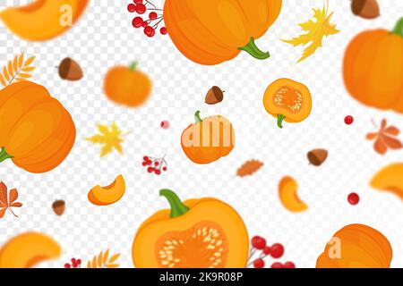 Fond de citrouilles d'automne orange avec effet flou défoqué pour le festival de la récolte ou le jour de Thanksgiving. Citrouilles de différentes tailles sur la ba transparente Illustration de Vecteur