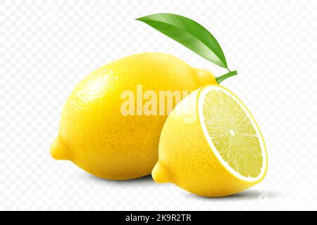 Citron frais isolé sur fond transparent. Un citron entier et un demi citron. Illustration réaliste à 3D vecteurs. Maillage manuel entièrement modifiable. Illustration de Vecteur