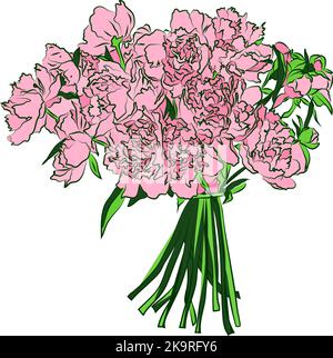 Bouquet de fleurs de pivoine. Illustration dessinée à la main sur fond blanc. Illustration de Vecteur