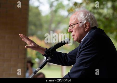 San Marcos, Texas, États-Unis. 29th octobre 2022. Le sénateur démocrate américain BERNIE SANDERS (D-VT) s'adresse à une foule avant de traverser Sewell Park jusqu'à un bureau de vote sur le campus de l'État du Texas et de participer au rassemblement des votes sur 29 octobre 2022. Le rassemblement a eu lieu sur le campus de l'État du Texas avant les élections cruciales de mi-mandat de novembre. (Image de crédit : © Bob Daemmrich/ZUMA Press Wire) Banque D'Images