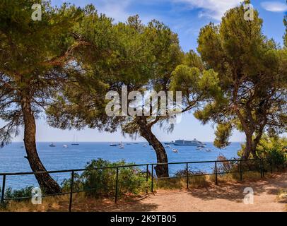 Vue sur les eaux turquoise de la mer Méditerranée et le littoral à travers les arbres côtiers de Roquebrune Cap Martin, au sud de la France près de Monaco Banque D'Images