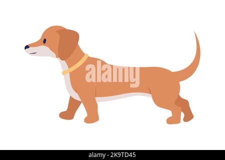 Caractère vectoriel de couleur semi-plat Dachshund Illustration de Vecteur