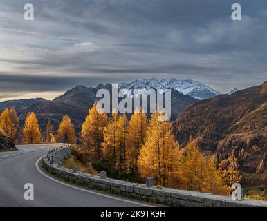 Vue à couper le souffle sur le sommet de Grossglockner, avec la route alpine de Grossglockner, mélèze jaune brillant Banque D'Images