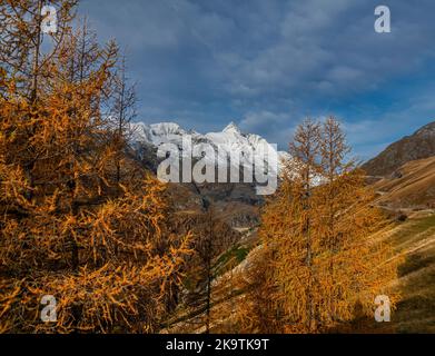 Vue à couper le souffle sur le sommet de Grossglockner, avec la route alpine de Grossglockner, mélèze jaune brillant Banque D'Images