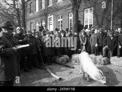 La vente aux enchères d'une ferme sur 2. 3. 1972 dans le Muensterland à Ascheberg avec tous les stocks et le bétail, Allemagne Banque D'Images