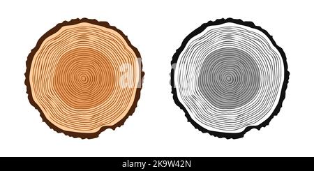 Troncs d'arbre ronds de différentes couleurs, tranches de pin scié ou de chêne, bois d'œuvre. Bois scié, bois. Texture en bois brun avec anneaux d'arbre. Dessiné à la main Illustration de Vecteur