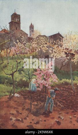 SIENNE.« sous les murs, Sienne » par William Wiehe Collins.Vieux imprimé de l'Italie 1911 Banque D'Images
