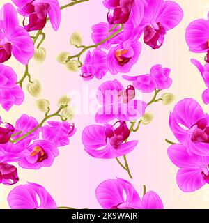 Texture sans couture branches orchidées fleurs violettes plante tropicale Phalaenopsis sur fond blanc vecteur vintage illustration botanique pour le design Illustration de Vecteur