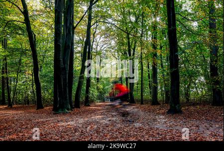 Hambourg, Allemagne. 30th octobre 2022. Un cycliste traverse le feuillage d'automne de Volkspark. Credit: Axel Heimken/dpa/Alay Live News Banque D'Images