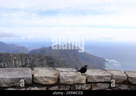 Une vue générale des sauts arrière de Table Mountain vus dans la lumière du soir. Le Cap en Afrique du Sud. Banque D'Images