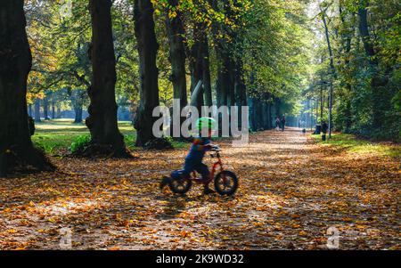 Hambourg, Allemagne. 30th octobre 2022. Un enfant fait un vélo à travers le feuillage d'automne du parc populaire. Credit: Axel Heimken/dpa/Alay Live News Banque D'Images