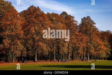 Hambourg, Allemagne. 30th octobre 2022. Les rayons du soleil brillent à travers les feuilles du parc du peuple à feuillage d'automne. Credit: Axel Heimken/dpa/Alay Live News Banque D'Images