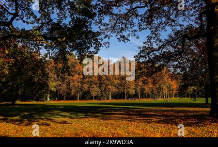 Hambourg, Allemagne. 30th octobre 2022. Les rayons du soleil brillent à travers les feuilles du parc du peuple à feuillage d'automne. Credit: Axel Heimken/dpa/Alay Live News Banque D'Images