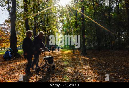 Hambourg, Allemagne. 30th octobre 2022. Les rayons du soleil brillent à travers les feuilles du parc du peuple à feuillage d'automne. Credit: Axel Heimken/dpa/Alay Live News Banque D'Images