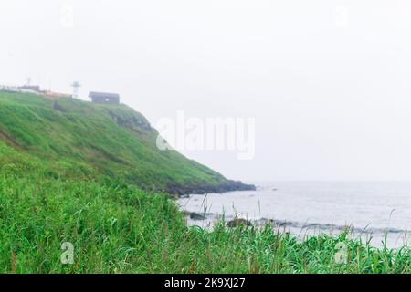 paysage de bord de mer flou, mise au point sur l'herbe proche Banque D'Images