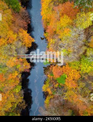 Vue aérienne des couleurs spectaculaires de la fin de l'automne dans les arbres au bord de la rivière Garry près de Killiecrankie à Perth et Kinross. Banque D'Images