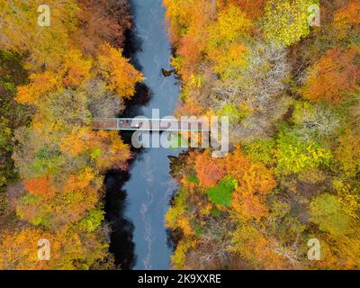 Vue aérienne des couleurs spectaculaires de la fin de l'automne dans les arbres au bord de la rivière Garry près de Killiecrankie à Perth et Kinross. Banque D'Images