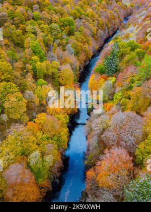 Vue aérienne des couleurs spectaculaires de la fin de l'automne dans les arbres au bord de la rivière Garry près de Killiecrankie à Perth et Kinross. Banque D'Images