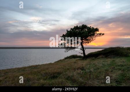 La flotte, Weymouth, Dorset, Royaume-Uni au coucher du soleil montrant les belles couleurs dans le ciel pendant que le soleil se couche Banque D'Images