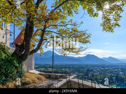 Vue sur le village de Bled depuis le château de Bled, lac de Bled, Slovénie Banque D'Images