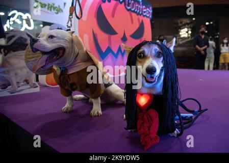 Bangkok, Thaïlande. 30th octobre 2022. Chiens vus vêtus d'un costume pendant le concours de dressage de chiens d'Halloween au Central Eastville à Bangkok. L'événement a eu lieu pour célébrer le festival d'Halloween. (Photo de Peerapon Boonyakiat/SOPA image/Sipa USA) crédit: SIPA USA/Alay Live News Banque D'Images