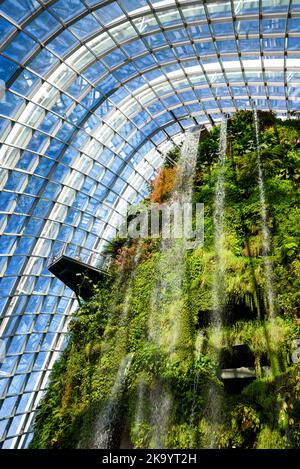 Serre de forêt nuageuse - jardin botanique à Marina Bay, Singapour Banque D'Images