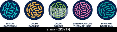 Probiotiques dans un cercle. Bonnes bactéries et micro-organismes. Bifidobacterium, lactobacillus, lactococcus, streptocoque thermophilus, propionibacterium. Illustration de Vecteur