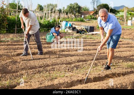 Homme âgé travaillant le sol avec la houe dans le potager de la maison familiale Banque D'Images