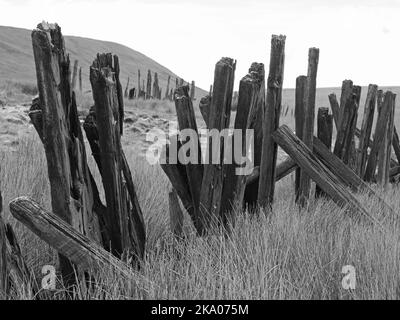 Paysage de Pennine sombre - en bois de montagne et de neige déneigé poteaux de sommeil sur les landes hautes au-dessus de la tente - Carlisle Railway, North Yorkshire, Angleterre Royaume-Uni Banque D'Images