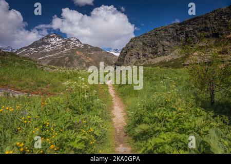 L Ecot, petit hameau médiéval de Bonneval sur Arc en haute Savoie, alpes françaises Banque D'Images