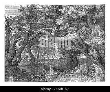 Lac forestier avec arbres fortement suspendus. Dans le dos une chasse au cerf. La troisième impression d'une série en six parties avec des paysages. Banque D'Images