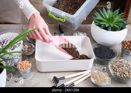 préparation de substrat de sol pour la transplantation de plantes de maison sur fond de béton Banque D'Images