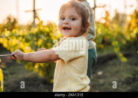 Petite fille de deux ans debout à côté des vignobles souriant et regardant l'appareil photo. Fascination des enfants pour la nature. Vacances d'été. Petit Banque D'Images