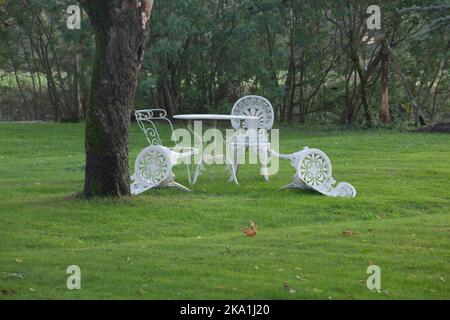 Le vent d'automne a frappé deux des quatre chaises blanches dans le jardin. Cette photo donne un sentiment d'abandon du lâcher prise. Banque D'Images