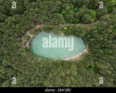 Lac aérien en forêt. Vol aérien de haut en bas au-dessus d'un petit lac de forme ovale. Se déplaçant vers le haut, eaux turquoise clair de l'étang entouré d'arbres et Banque D'Images