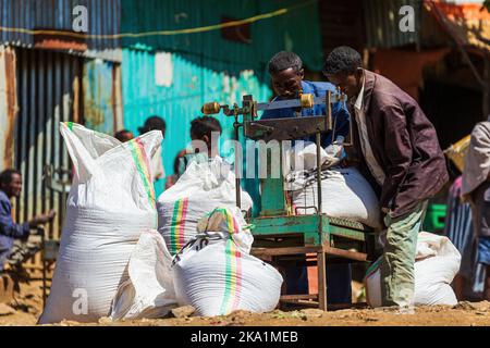 EMFRAZ, ETHIOPIE - 17 JANVIER 2022 : deux personnes soulevant un sac lourd à une échelle ancienne sur le marché d'Emfraz près du lac Tana. Banque D'Images