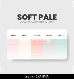 Palette de couleurs dans les collections de thèmes de couleurs Soft et Pale. Combinaison de couleurs ou modèle de tableau de couleurs. Jeu de combinaisons de couleurs RVB, HSL et CODE HEXADÉCIMAL. Vecteur Illustration de Vecteur