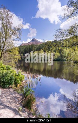 Glencoe Lochans Trail, sentiers boisés près de Ballachulish, Banque D'Images