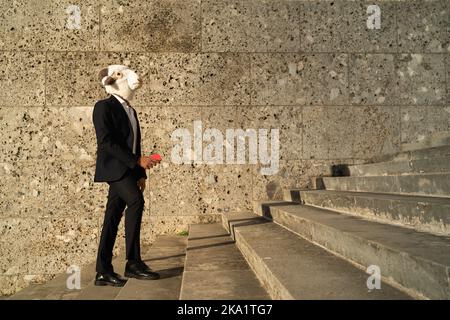 un jeune homme d'affaires attentionné monte les escaliers avec le téléphone à la main Banque D'Images