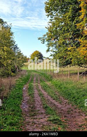 La campagne isolée de Ranmore Common dans les collines de Surrey, lors d'une journée automnale près de Dorking England UK Banque D'Images