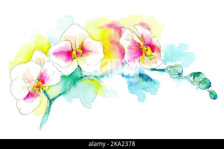 Branche d'orchidées blanc-rose. Illustration fleurie dessinée à la main avec texture en papier. Aquarelle et encre brillantes. Isolé sur fond blanc. Banque D'Images
