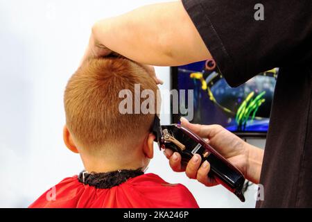 un petit garçon obtient une coupe de cheveux dans un salon de coiffure Banque D'Images