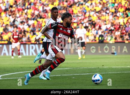 Of flamengo hi-res stock photography and images - Page 17 - Alamy