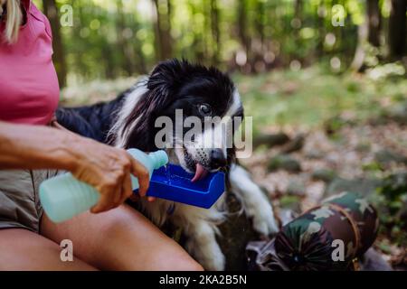 Femme âgée donnant de l'eau à son chien pendant la marche dans la forêt. Banque D'Images