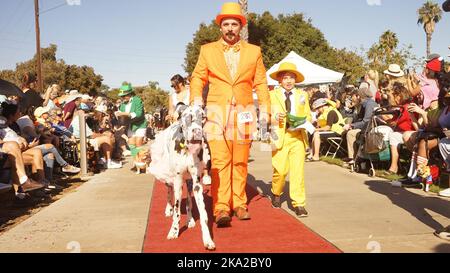 Long Beach, États-Unis. 30th octobre 2022. Un chien et ses propriétaires vêtus de costumes participent à la parade annuelle 21st de la haute Dog Howll'oween au parc Marina Vista à long Beach, Californie, États-Unis, le 30 octobre 2022. Credit: Zeng hui/Xinhua/Alay Live News Banque D'Images