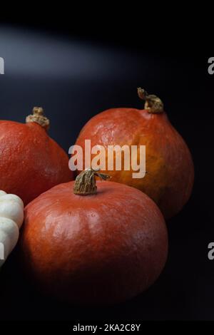 Durée de vie des courges et des citrouilles sur fond noir Banque D'Images