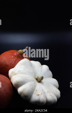 Durée de vie des courges et des citrouilles sur fond noir Banque D'Images